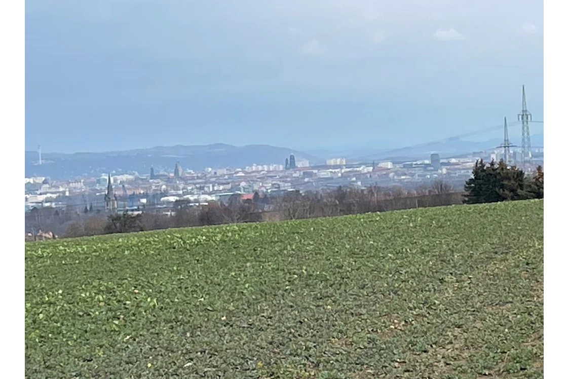 Wohnmobilstellplatz: Blick auf Dresden - Panoramablick: Radebeul-Dresden-Sächs.Schweiz