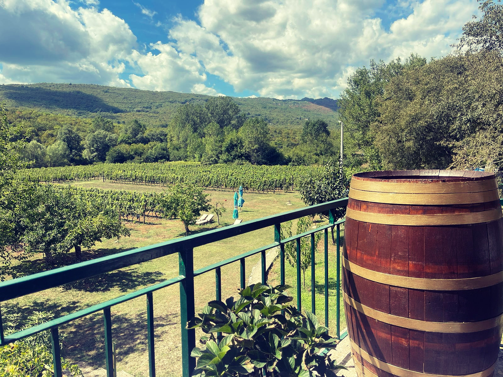 Wohnmobilstellplatz: Purple Eye Estate - (Camping-ground and Winery Jokaš)