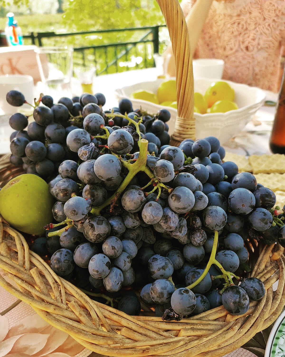 Wohnmobilstellplatz: Purple Eye Estate - (Camping-ground and Winery Jokaš)