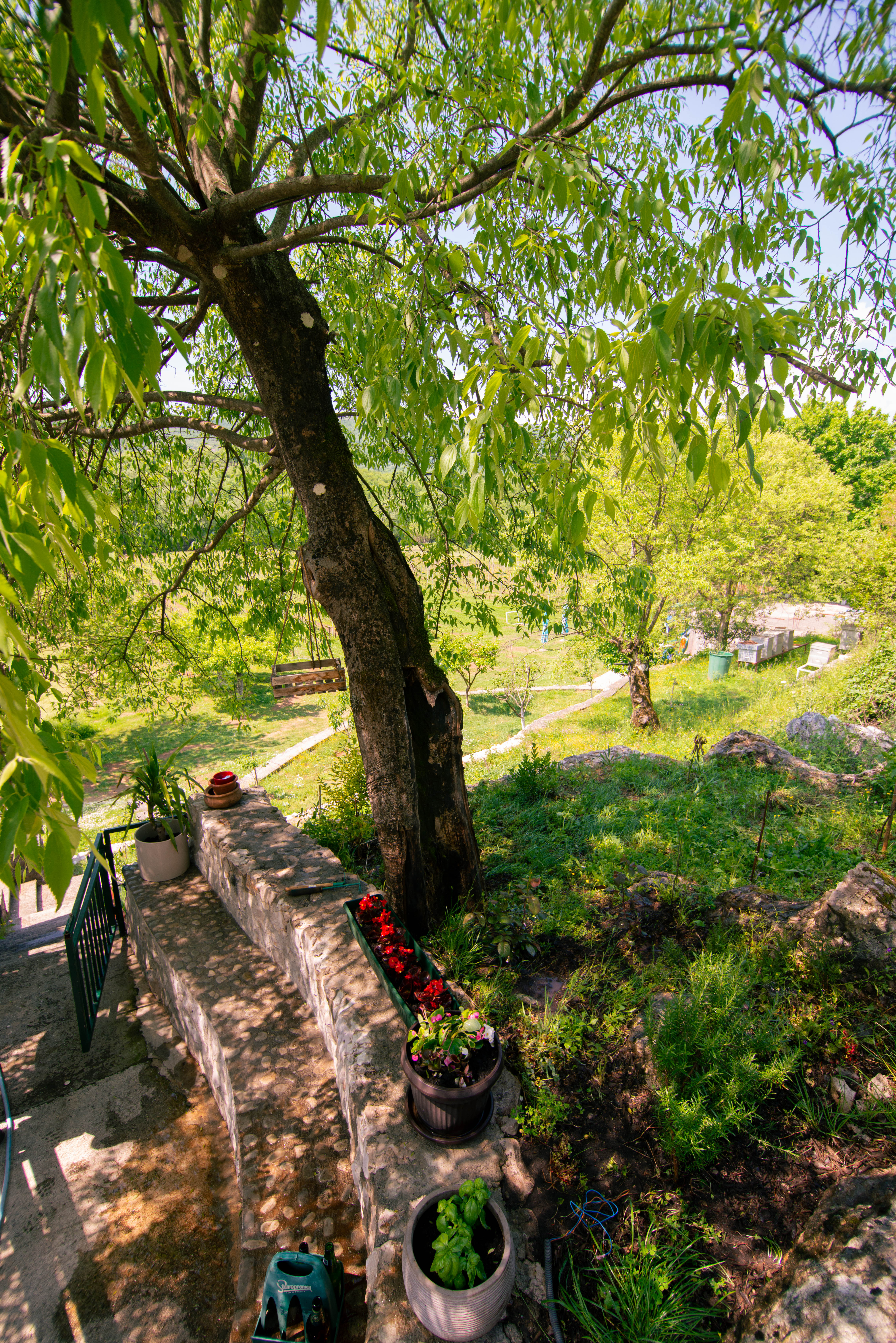 Wohnmobilstellplatz: Purple Eye Estate - (Camping-ground and Winery Jokaš)