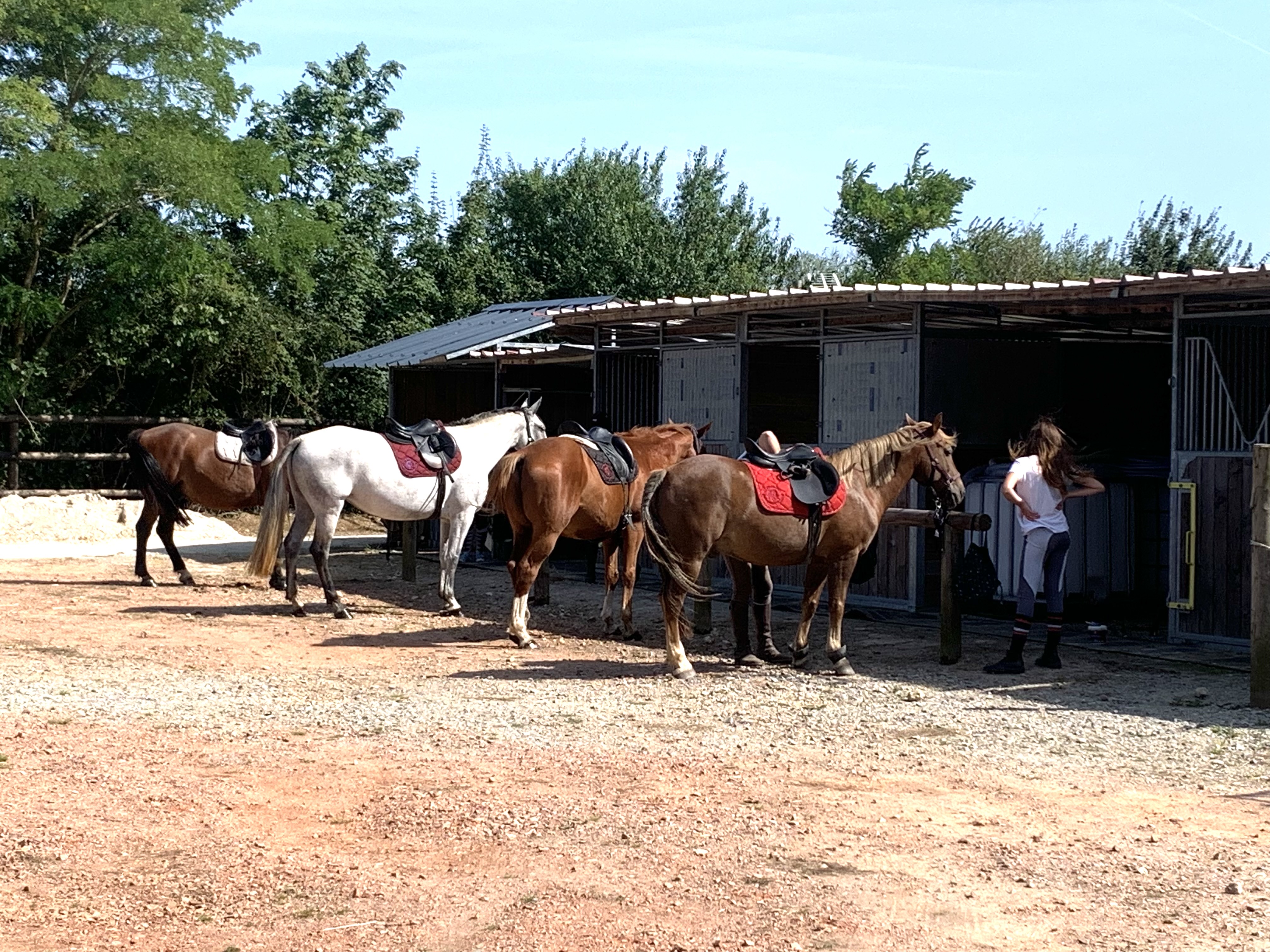 Reisemobilstellplatz - Hunde erlaubt: Hunde erlaubt - Basse Normandie - Relais équestre des Maupi
