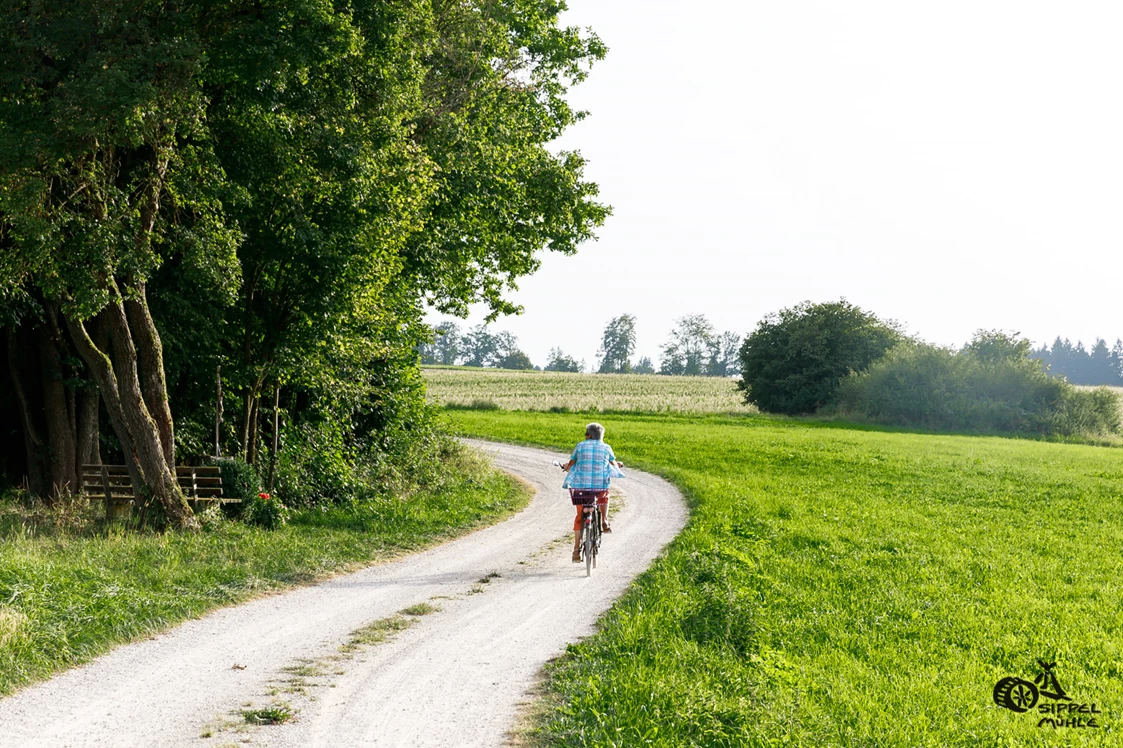 Wohnmobilstellplatz: Direkt com Campingplatz aus können Sie radeln oder den Premium Wanderweg nutzen. - Campingplatz Sippelmühle