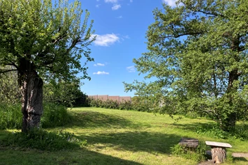 Wohnmobilstellplatz: Garten - Ferienhaus Westerwald & WoMo-Stellplatz