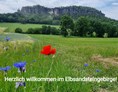 Wohnmobilstellplatz: Pfaffenstein mit der berühmten Felsnadel  und dem Wahrzeichen "Barbarine" - Struppen-Siedlung / Sächsische Schweiz / Elbsandsteingebirge 