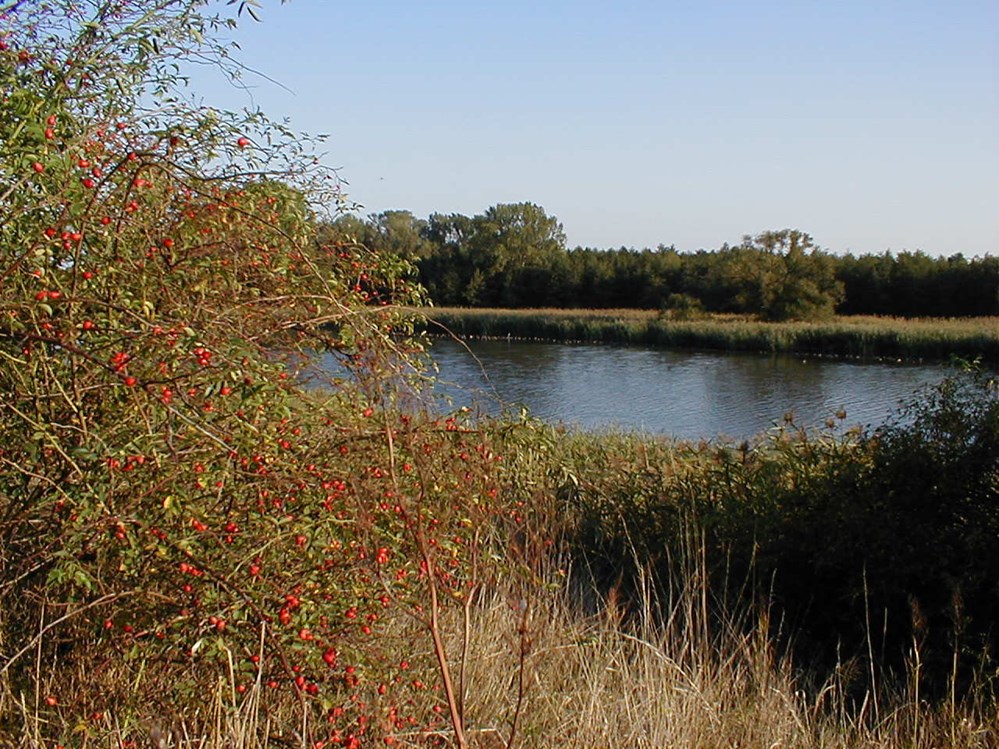 Reisemobilstellplatz - Stromanschluss - Bad Wilsnack - Umgebung - Wohnmobilstellplatz am Gutshaus Büttnershof