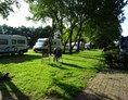 Wohnmobilstellplatz: Mini camping Brinkman 