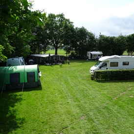 Wohnmobilstellplatz: Mini camping Brinkman 