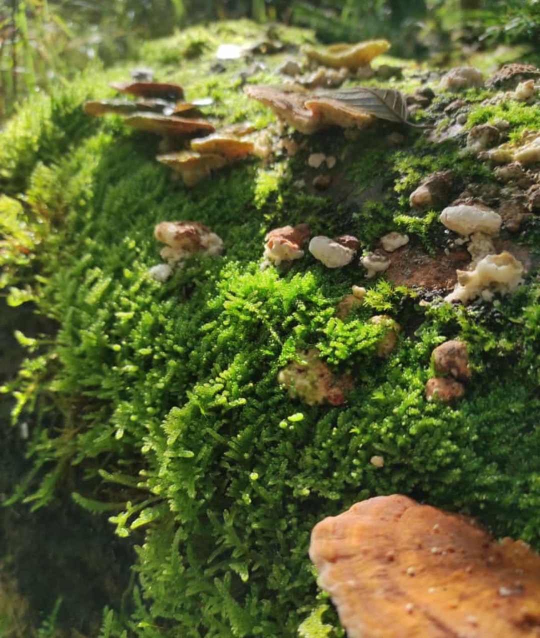 Wohnmobilstellplatz: Naturglück - Huber