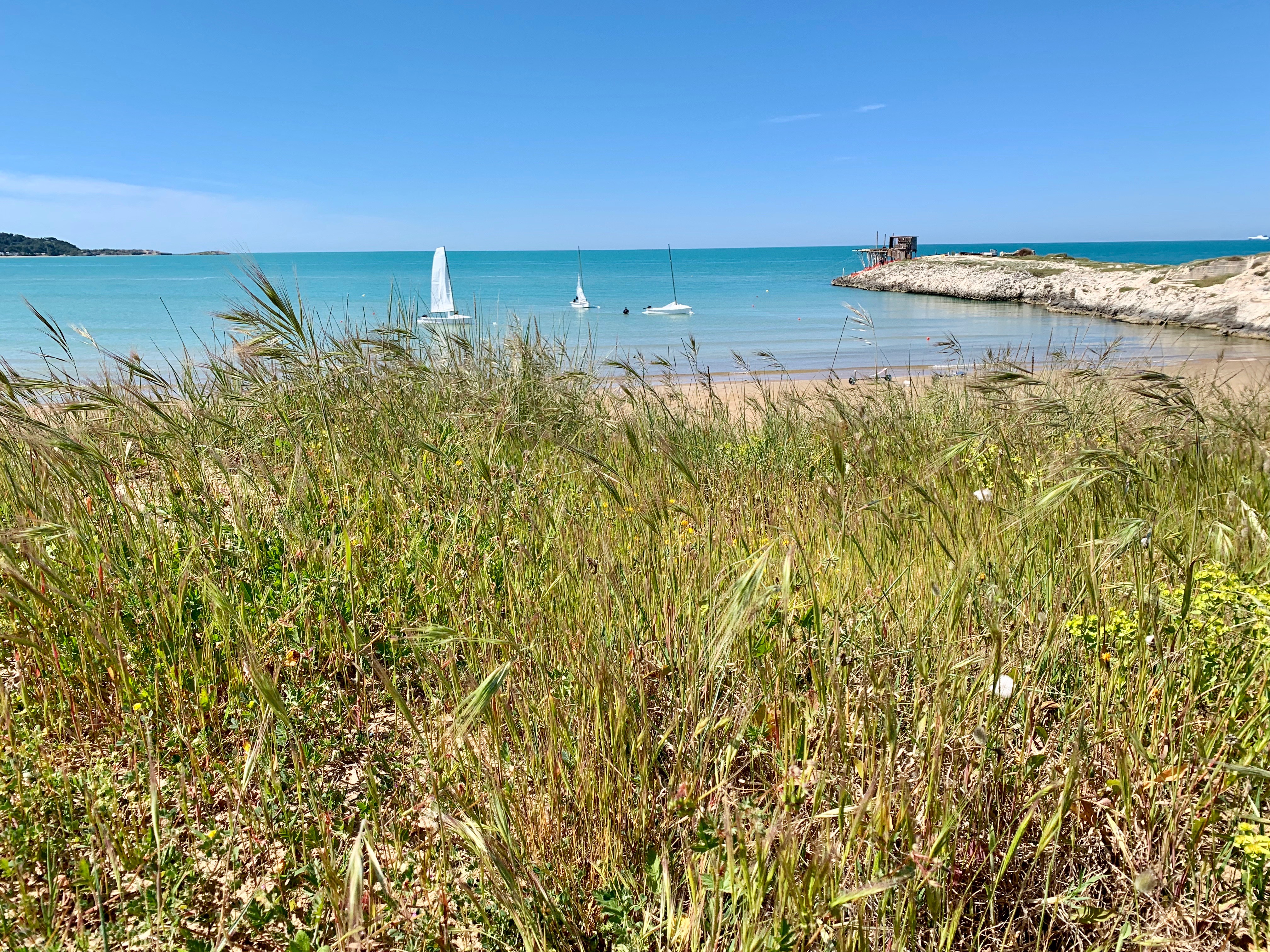 Reisemobilstellplatz - Art des Stellplatz: im Campingplatz - Vieste Gargano - sea view - Camping Village Baia Falcone