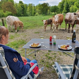Wohnmobilstellplatz: Gemeinsames Abendessen mit den Kühen - Ferienhof Welling