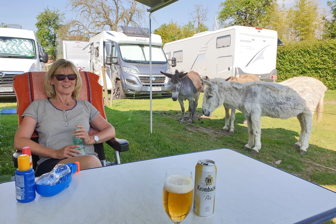 Wohnmobilstellplatz: Tiere erlaubt😂 - Wohnmobilstellplatz Tunau