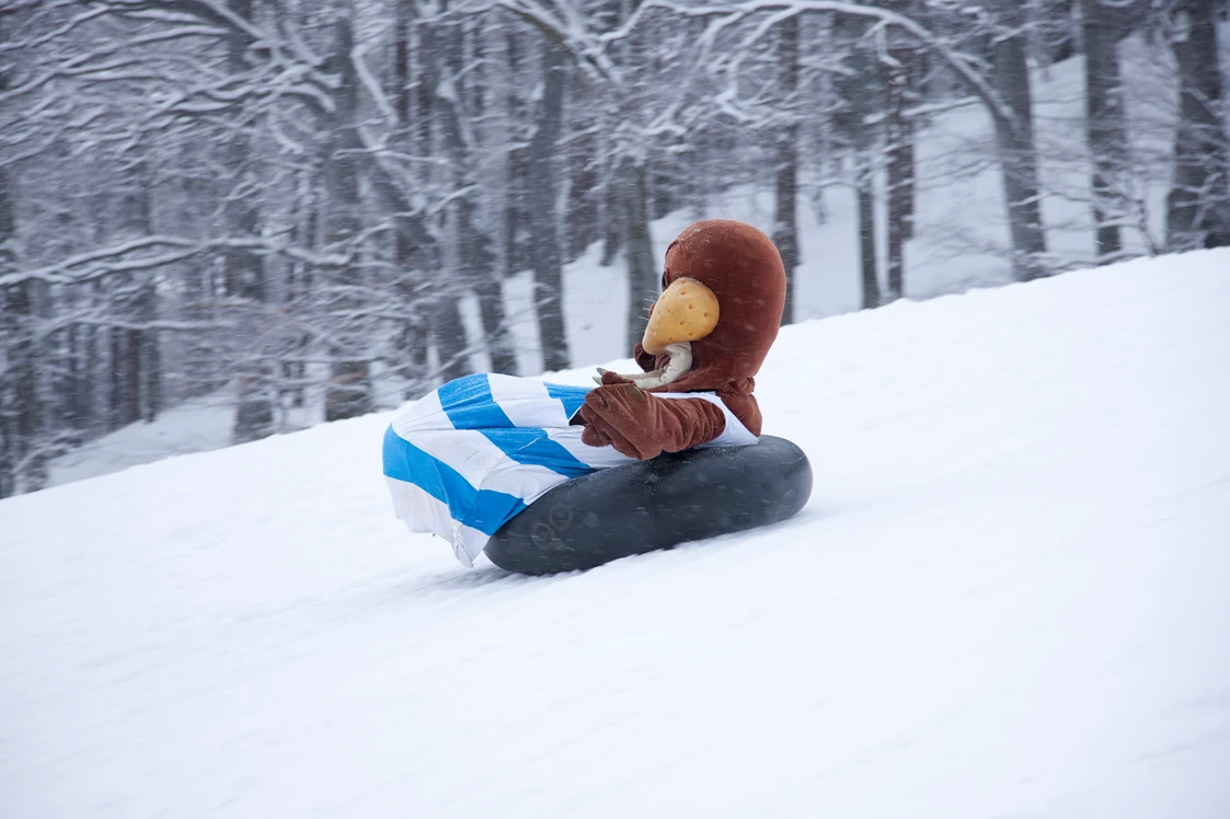 Wohnmobilstellplatz: Winterrodelspass mit Maskottchen Trixi für die ganze Familie  - Trixi Ferienpark Zittauer Gebirge