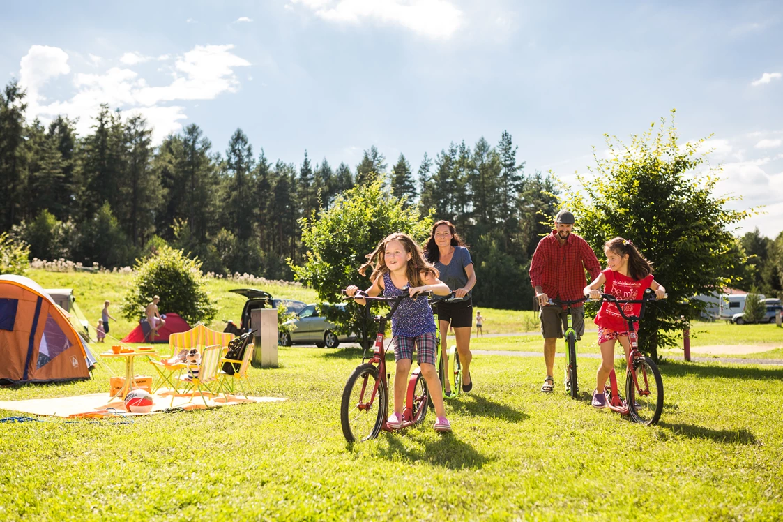 Wohnmobilstellplatz: Trixi-Camping  - Trixi Ferienpark Zittauer Gebirge