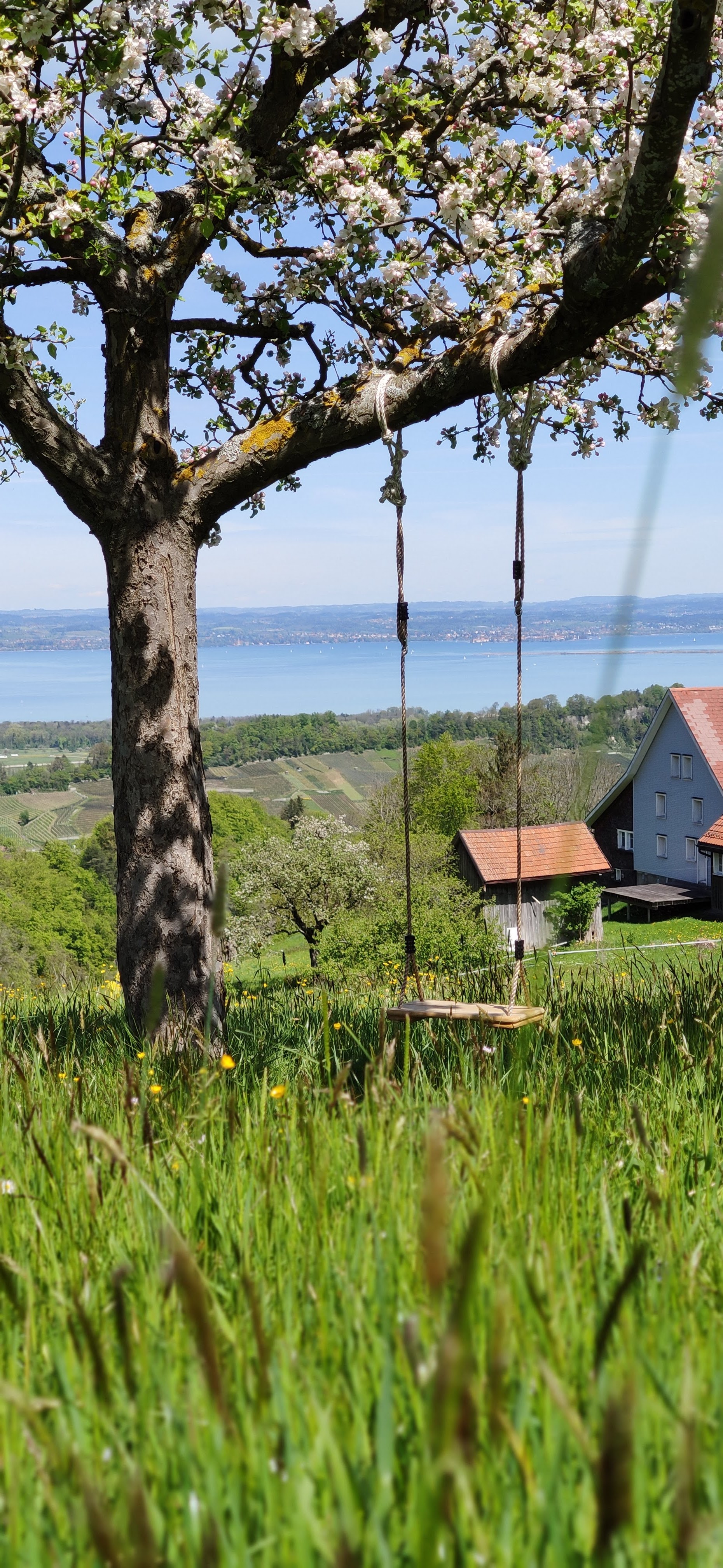 Wohnmobilstellplatz: Stellplatz "Restaurant Station"