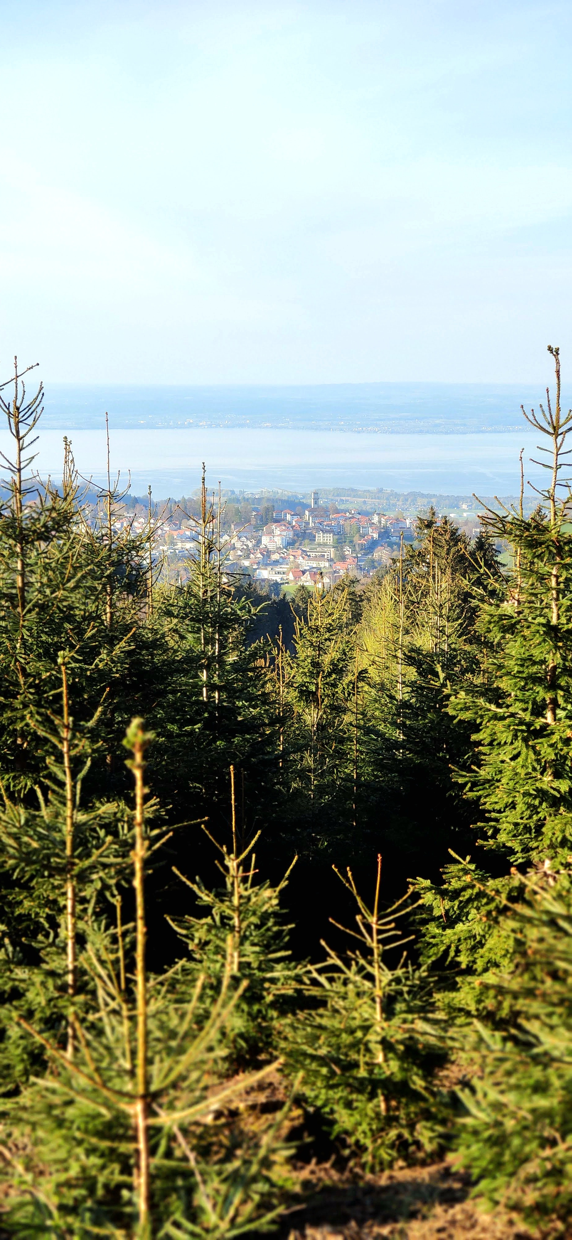 Wohnmobilstellplatz: Stellplatz "Restaurant Station"