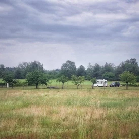 Wohnmobilstellplatz:  Fußläufig sind Heide und Seen erreichbar . Der ideale Ort um diese wunderbare Landschaft zu erkunden. Strom und Wasser vorhanden. - Obstbaumwiese an der Heide in Elsterwerda