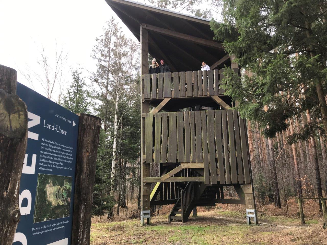 Reisemobilstellplatz - Wohnwagen erlaubt - Lieskau (Landkreis Elbe-Elster) - Der Loben mit blühenden Moorflächen, Schwänen und  Kranichen beeindruckt jeden Besucher. - Obstbaumwiese an der Heide in Elsterwerda