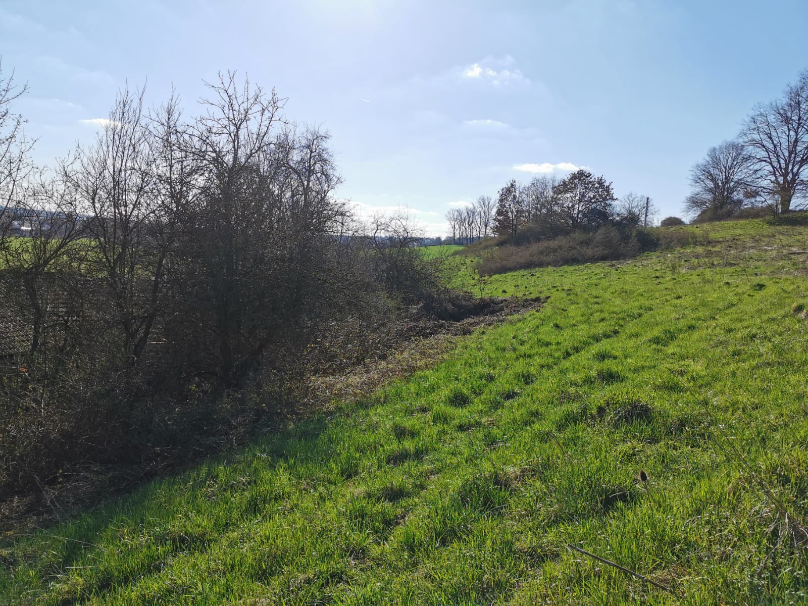 Reisemobilstellplatz - Eging am See - Kronwittberg
