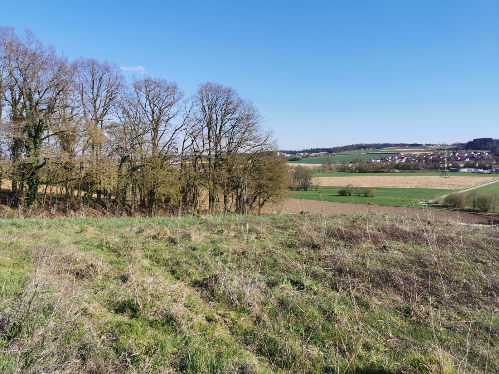 Reisemobilstellplatz - Hengersberg - Roßbach, Roslmari