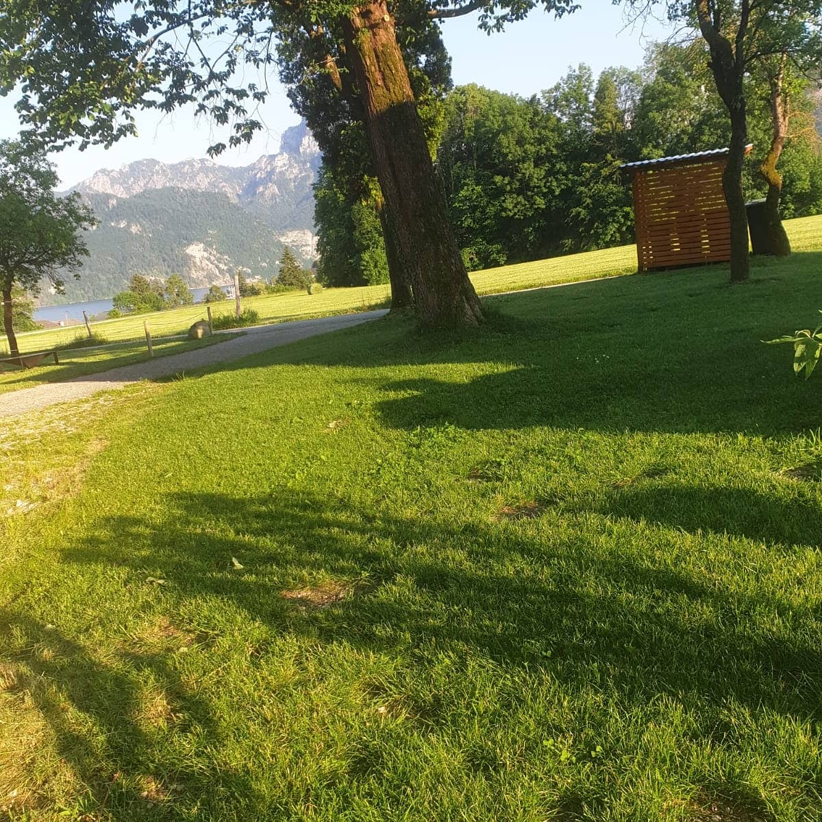 Wohnmobilstellplatz: Traunseeblick