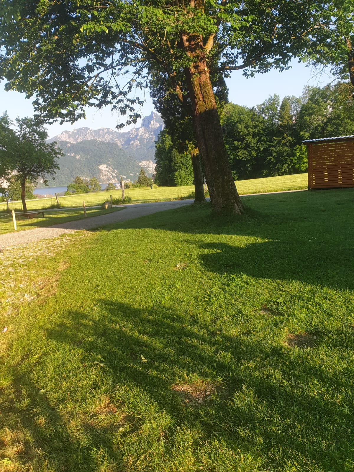 Wohnmobilstellplatz: Traunseeblick