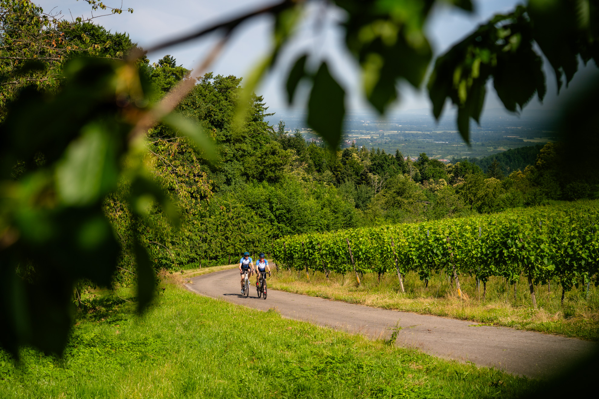 Reisemobilstellplatz - Gernsbach - Zwei Radfahrer auf einem Weg in den Reben - Wohnmobilstellplatz am Heidenhof