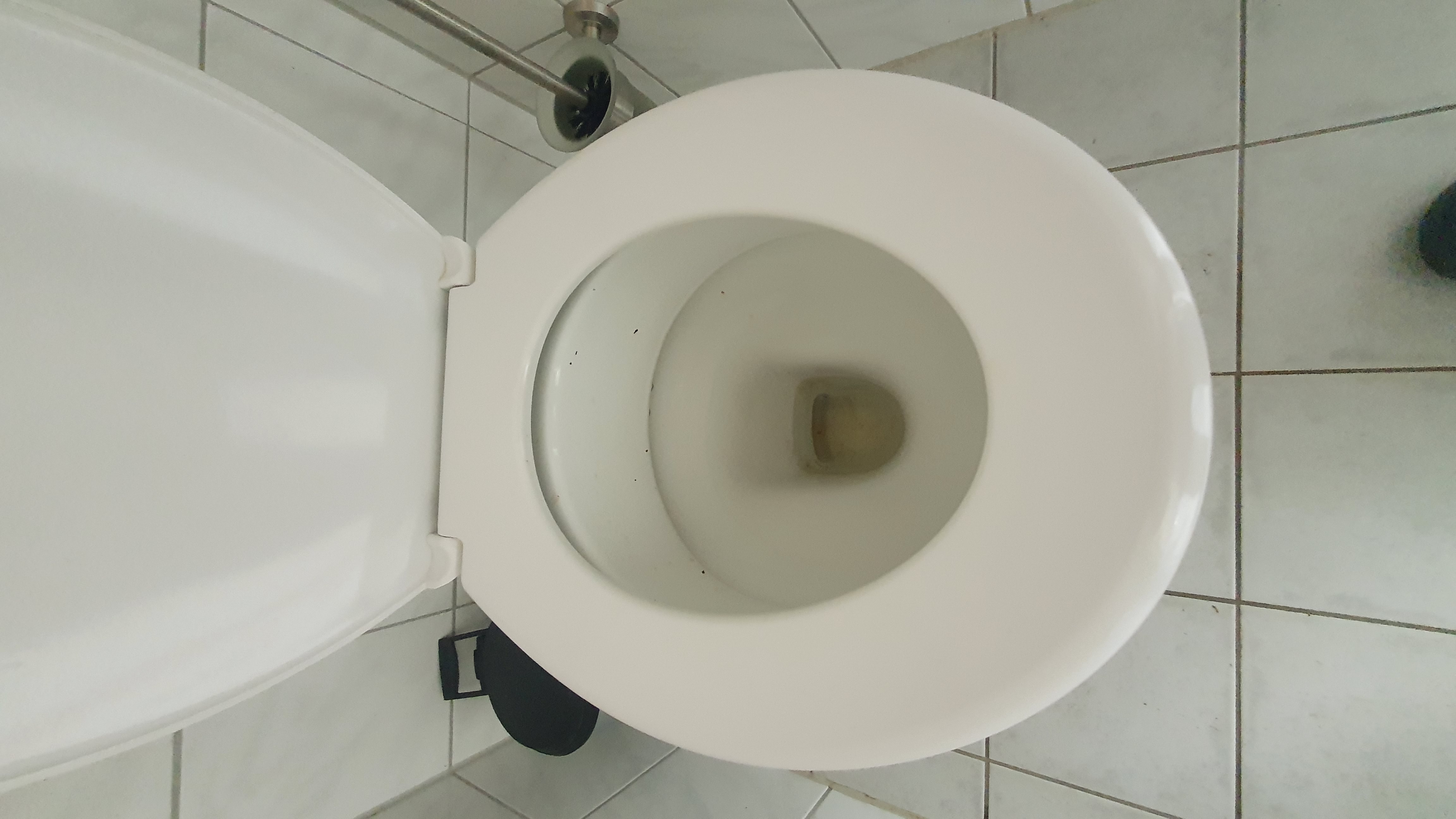 Reisemobilstellplatz: Toilette mit DNA Hinterlassenschaften :-( - taunus mobilcamp