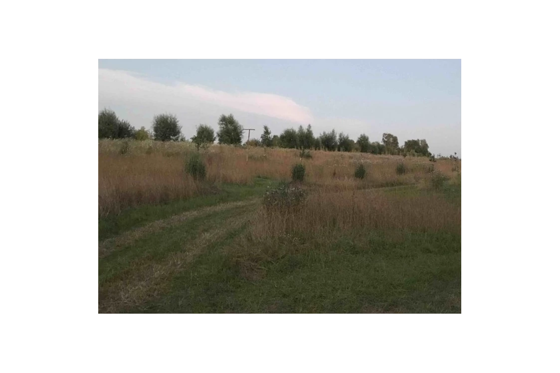 Wohnmobilstellplatz: Blick auf unsere Streuobstwiese im Spätsommer. Der Weg führt zu den verschiedenen Stellplätzen. - Wildes Campen am Tannenhof