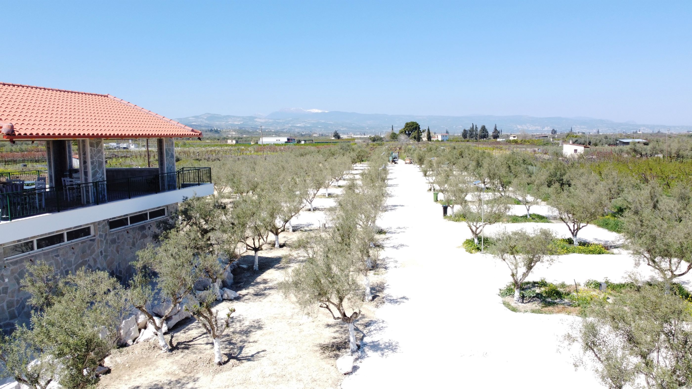 Reisemobilstellplatz - Peloponnes  - Camperstop OliveTree