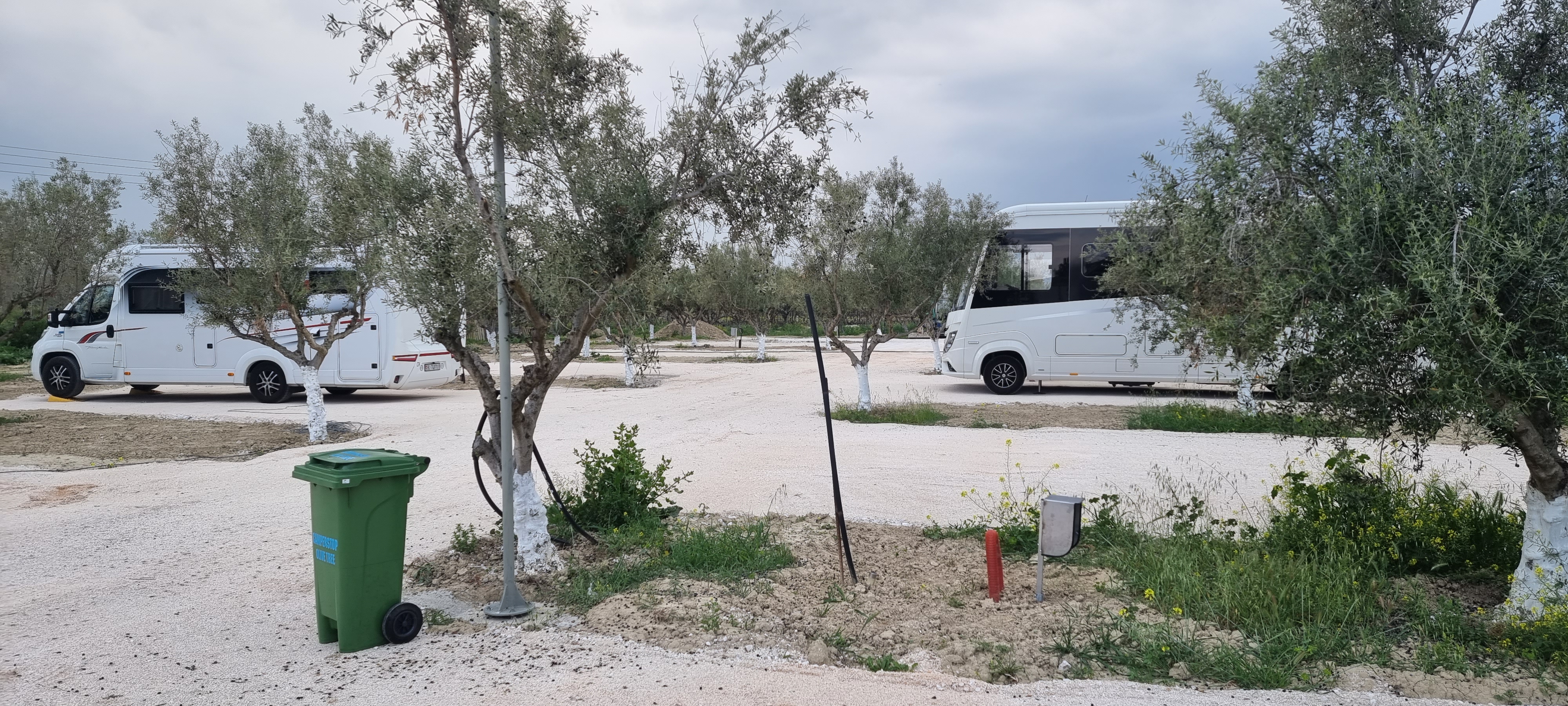 Reisemobilstellplatz - Peloponnes  - Camperstop OliveTree