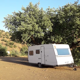 Wohnmobilstellplatz: Finca Leonora