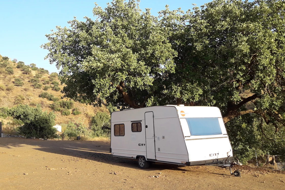 Wohnmobilstellplatz: Finca Leonora