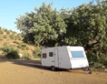 Wohnmobilstellplatz: Finca Leonora