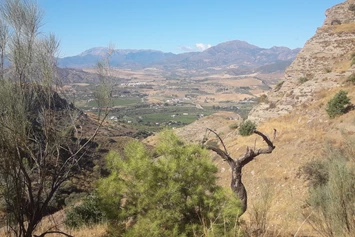 Wohnmobilstellplatz: Finca Leonora