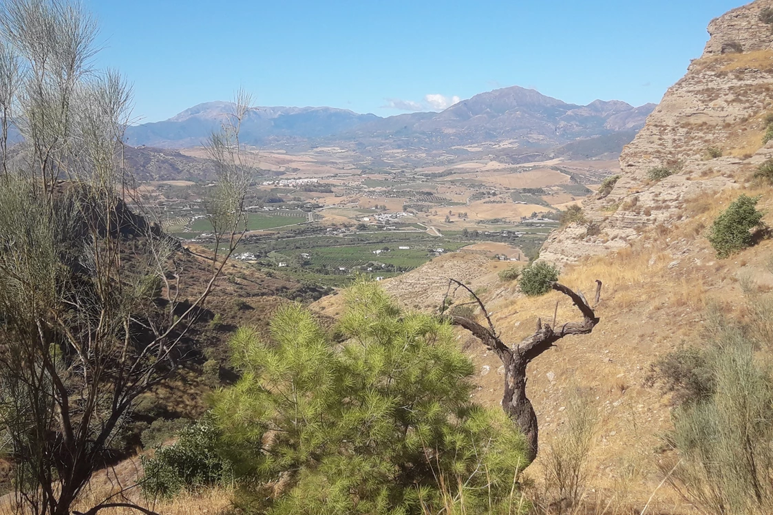 Wohnmobilstellplatz: Finca Leonora