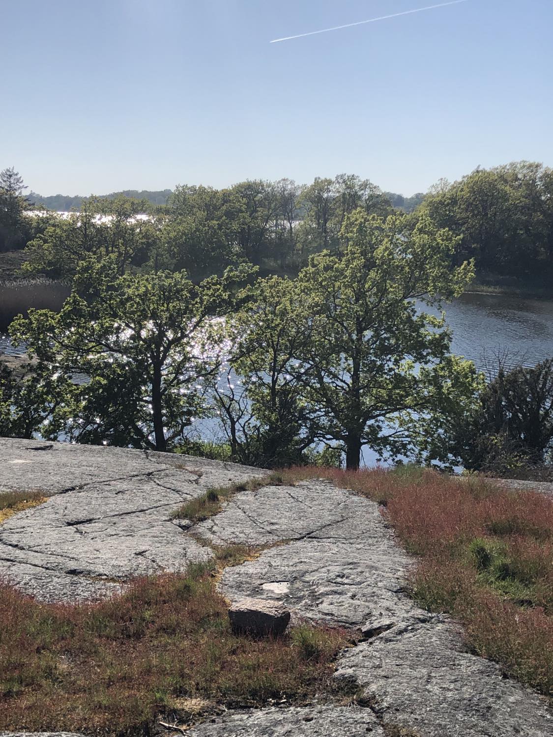 Wohnmobilstellplatz: Landschaft auf der Halsbinsel Knösö - Einzelner freistehender Wohnmobilplatz auf der Halbinsel Knösö (Schweden)