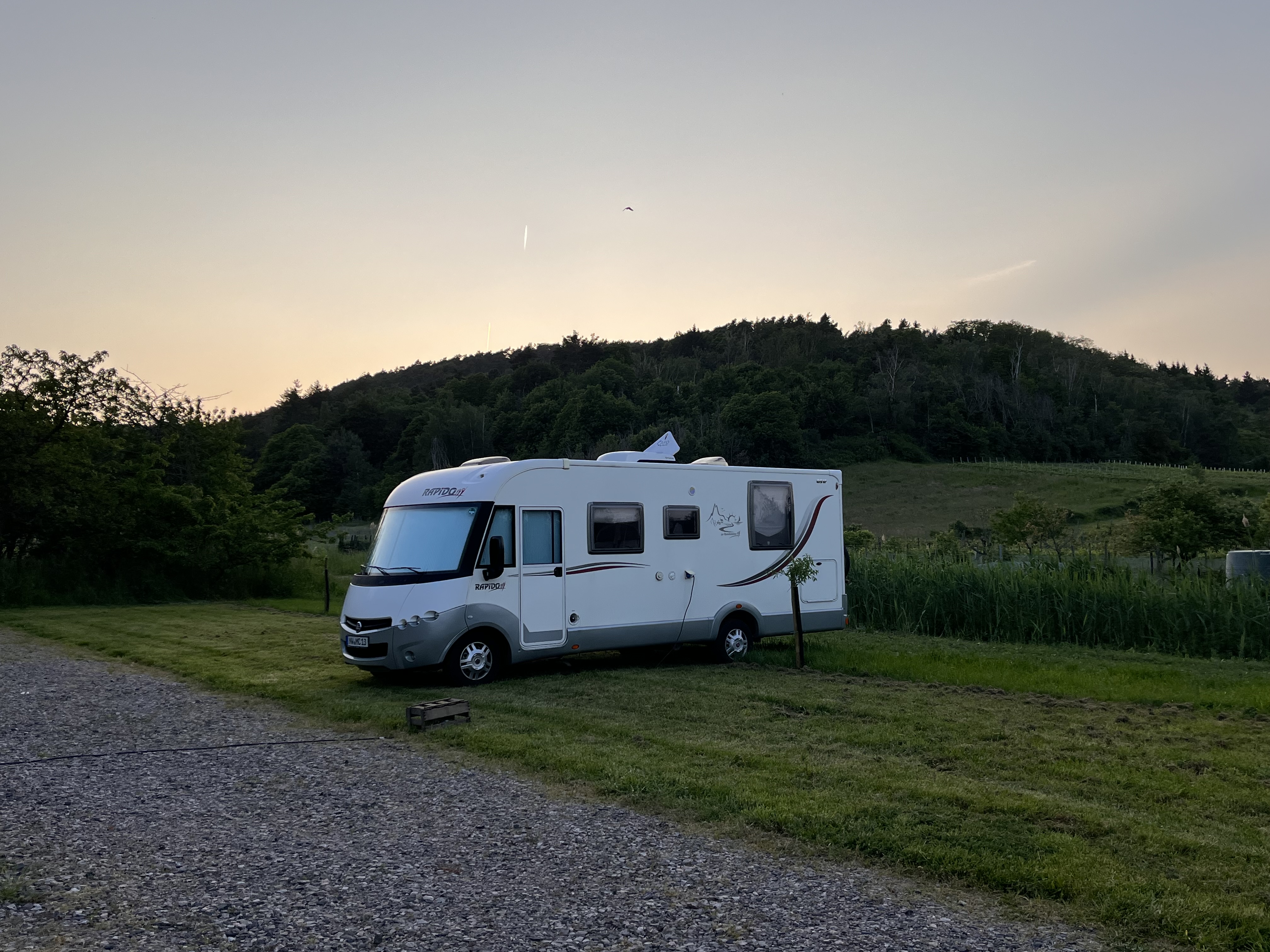 Wohnmobilstellplatz: Am Rande des Vogelschutzgebietes auf dem Weingut Hanewald-Schwerdt