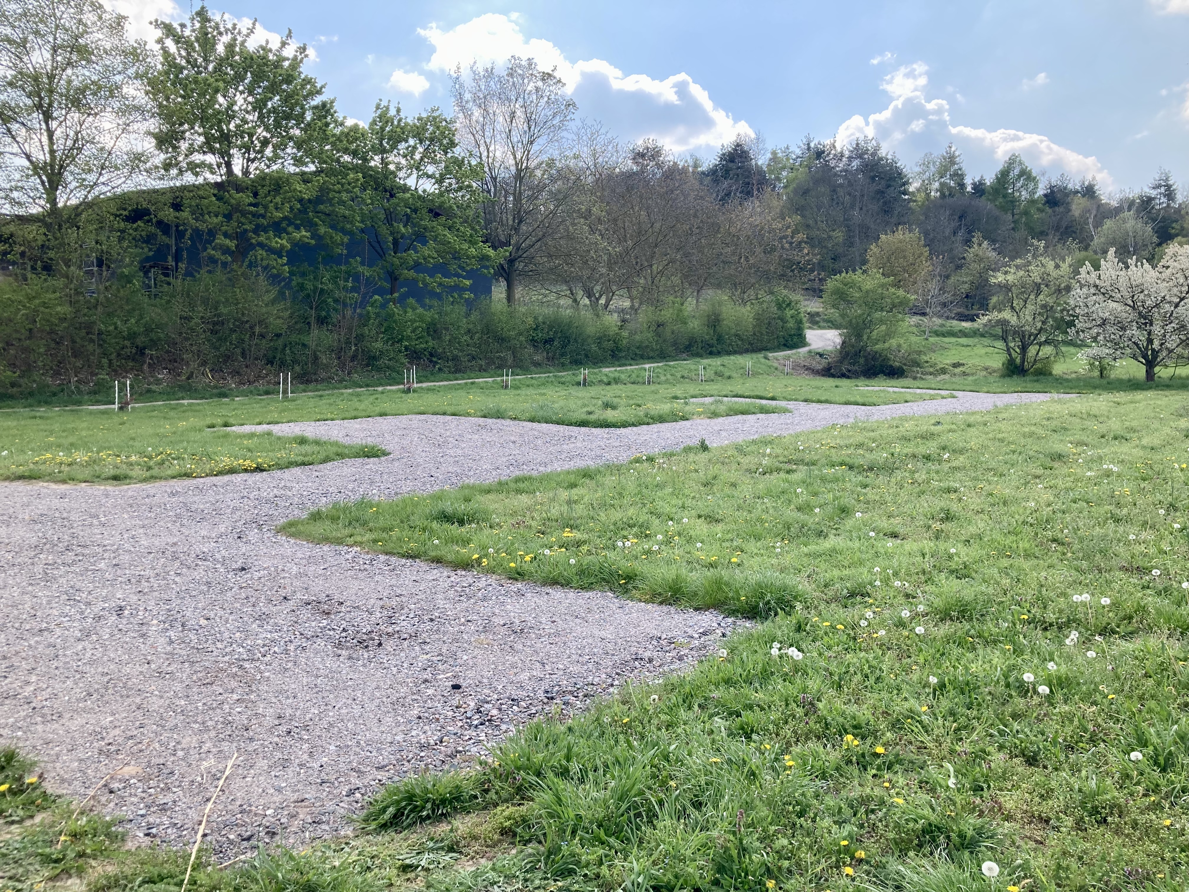 Wohnmobilstellplatz: Am Rande des Vogelschutzgebietes auf dem Weingut Hanewald-Schwerdt
