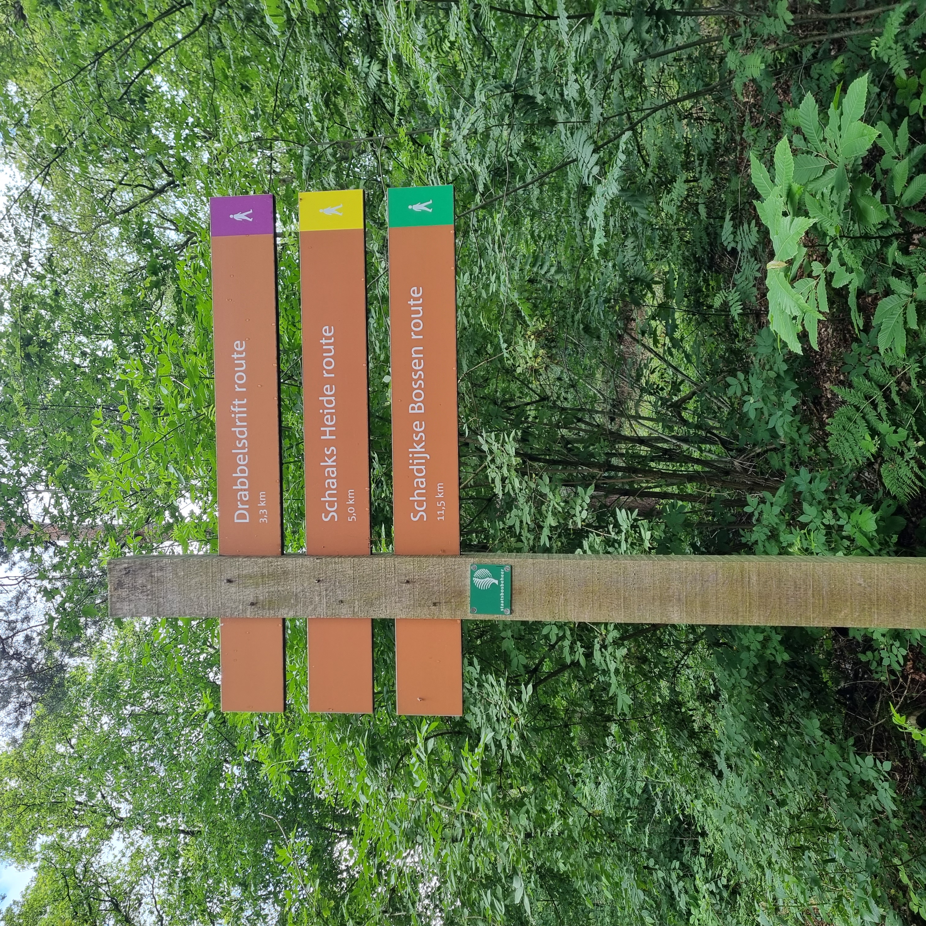 Wohnmobilstellplatz: Camperplaats De Zandberg