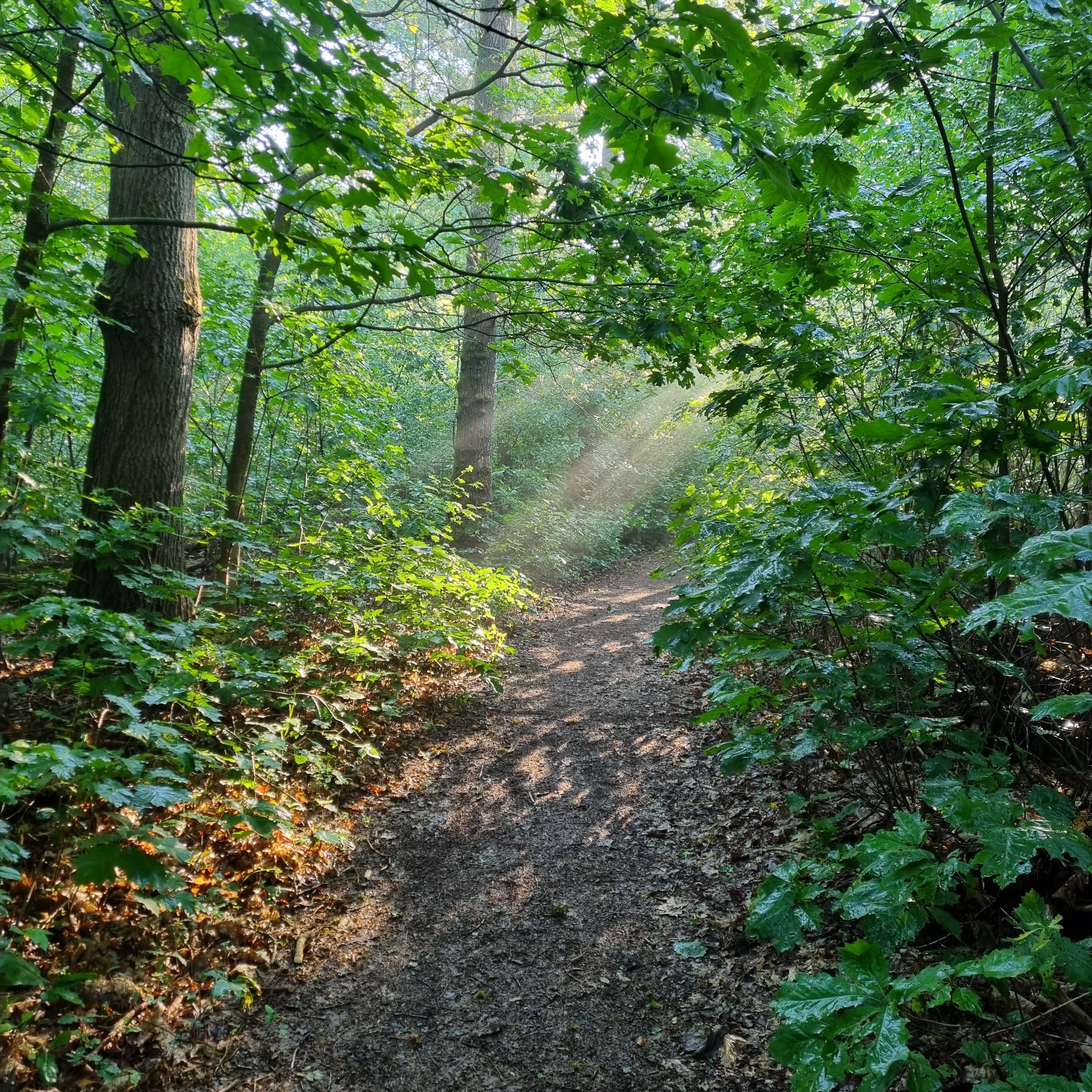 Wohnmobilstellplatz: Camperplaats De Zandberg