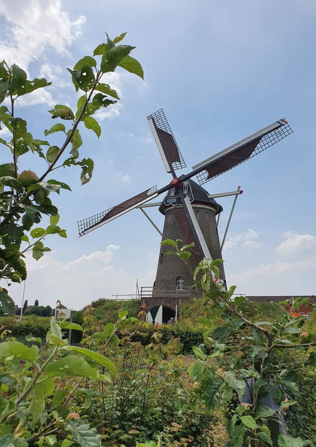 Wohnmobilstellplatz: Camperplaats De Zandberg