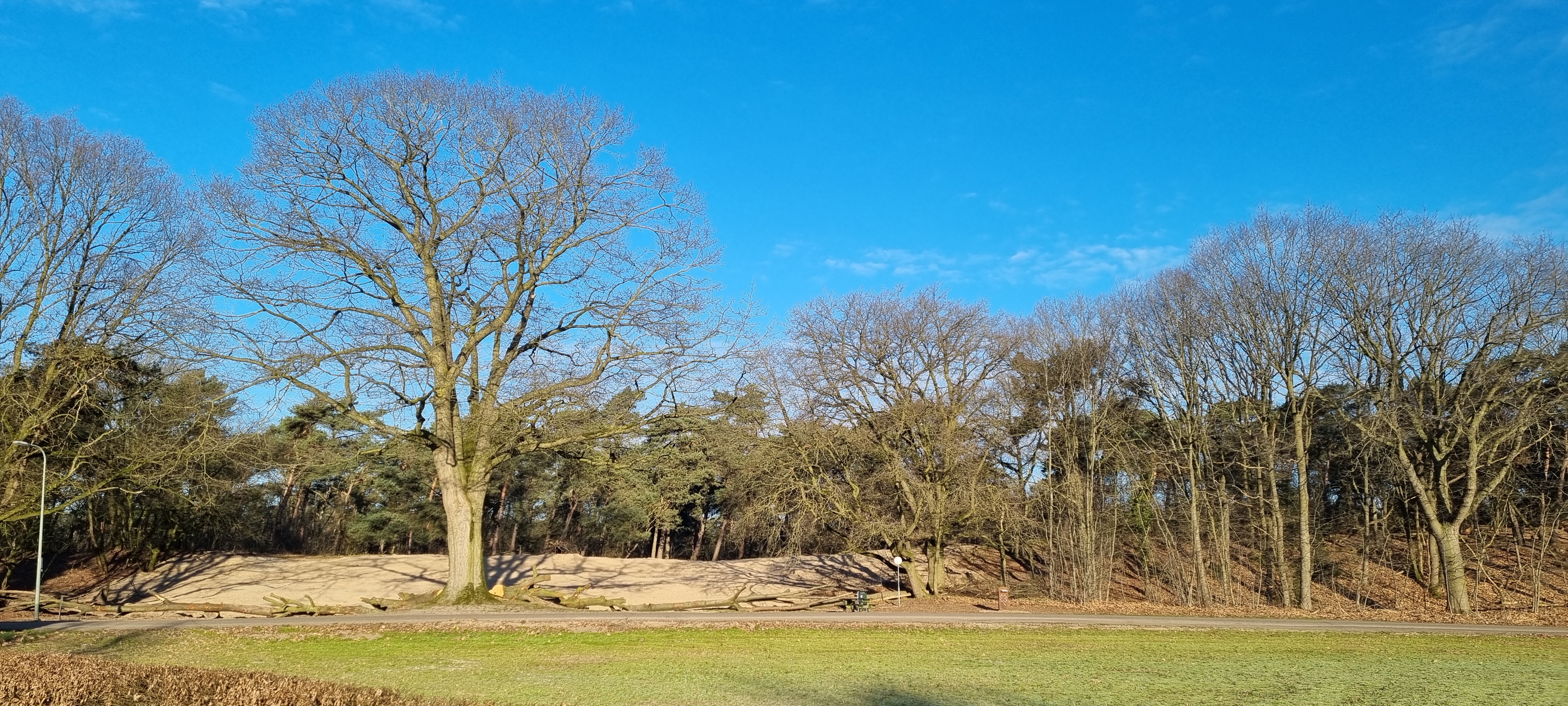 Wohnmobilstellplatz: Camperplaats De Zandberg