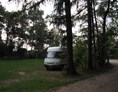 Wohnmobilstellplatz: Camping Lelefeld