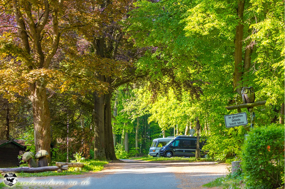 Wohnmobilstellplatz: Blick zu den Wohnmobilstellpätzen  - Campingplatz Oberrabenstein