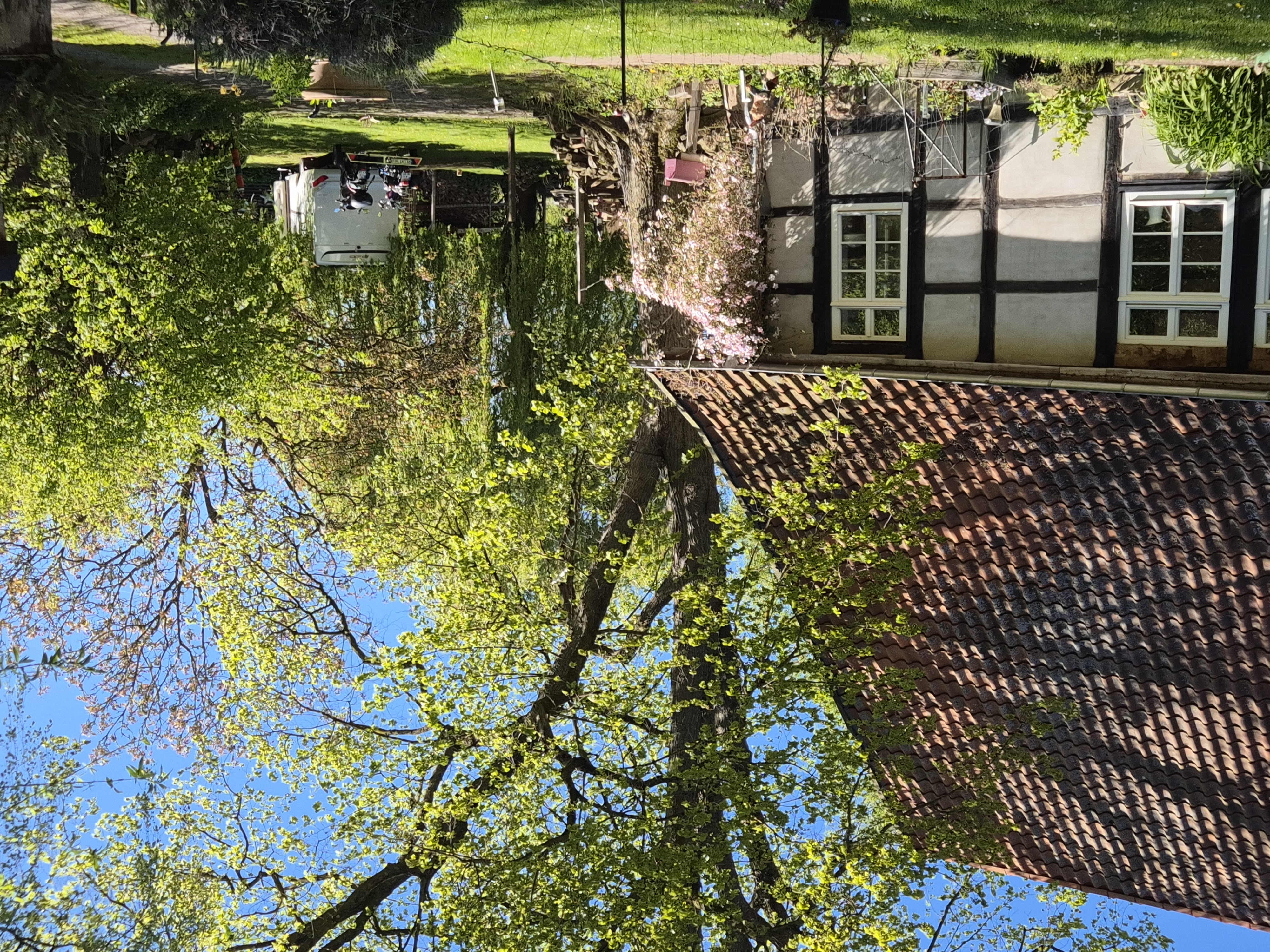 Wohnmobilstellplatz: Krabbenhof Hasbergen