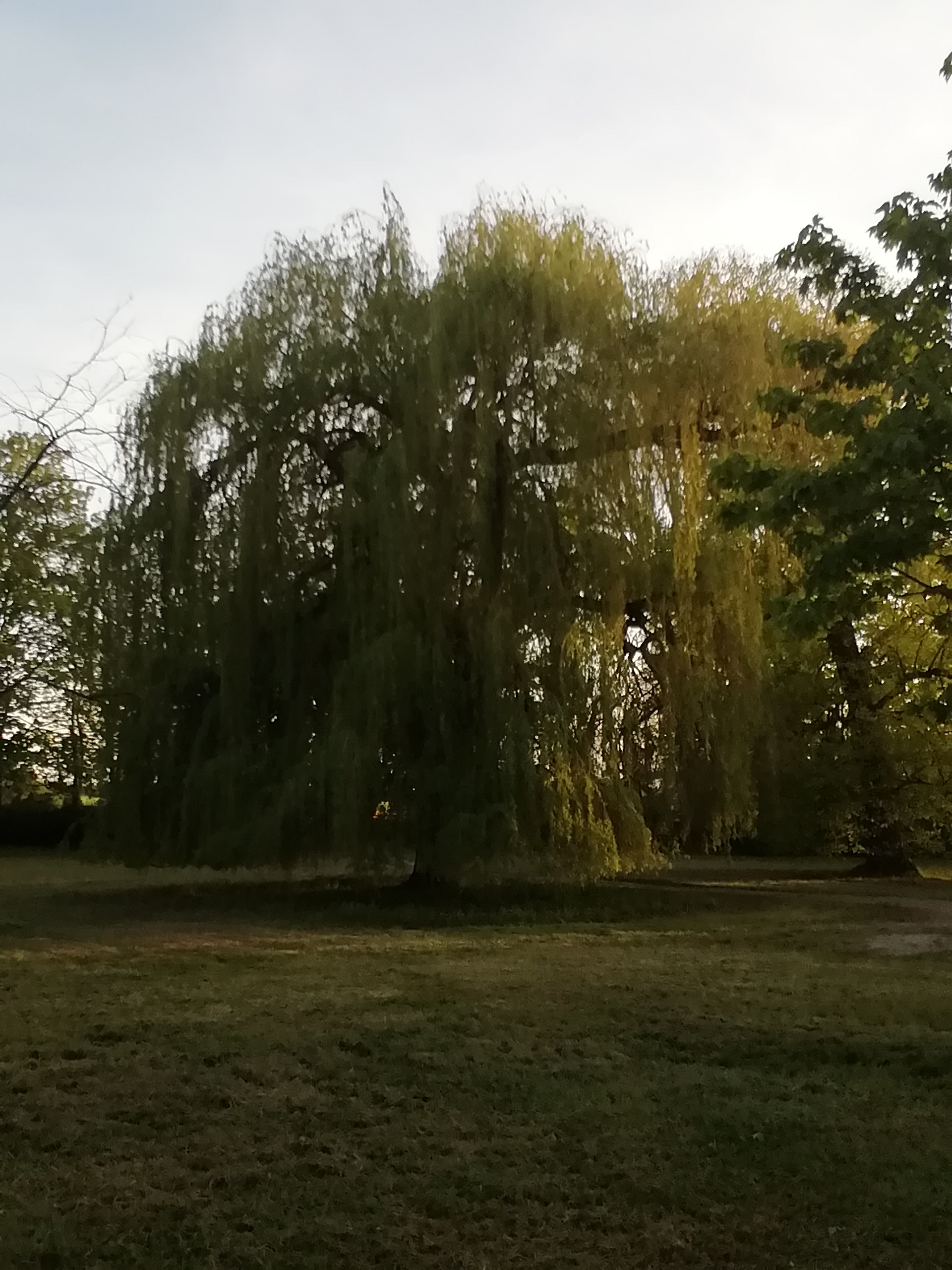Wohnmobilstellplatz: Rittergut Osterholz