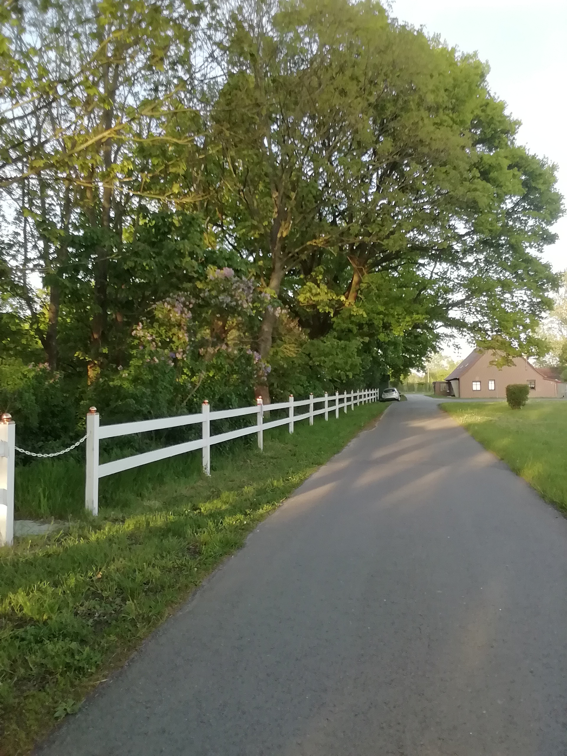 Wohnmobilstellplatz: Rittergut Osterholz