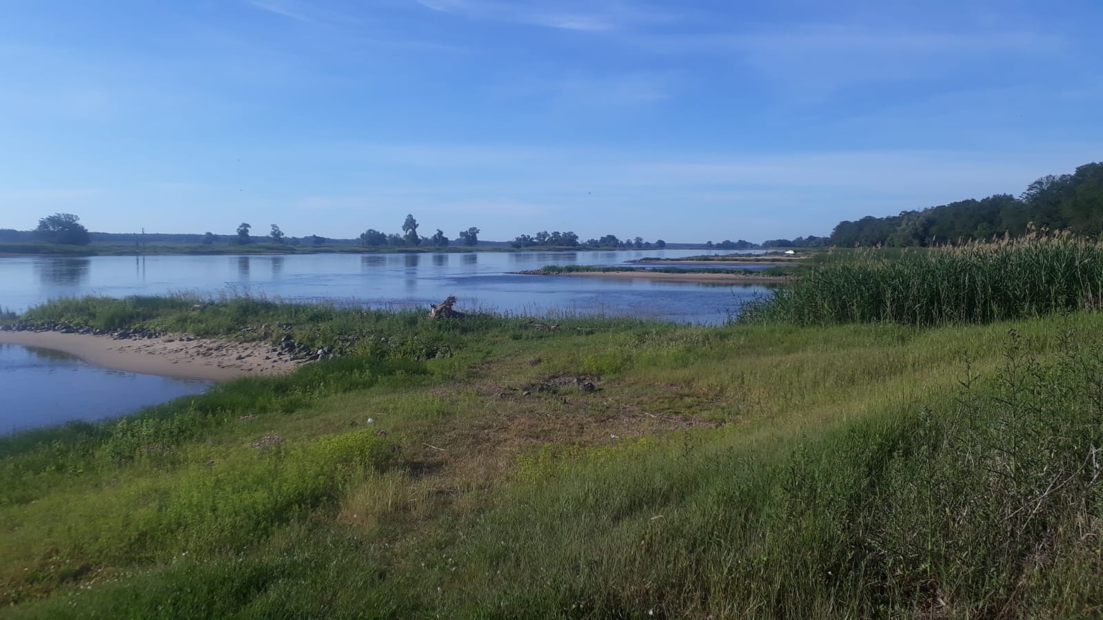 Wohnmobilstellplatz: Rittergut Osterholz