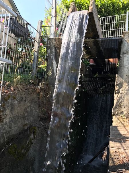 Reisemobilstellplatz: Plätzchen im Grünen