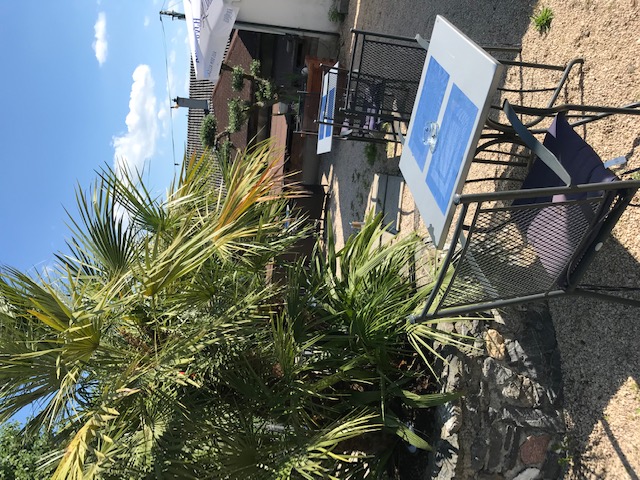 Reisemobilstellplatz: Plätze auf der Sonnenterrasse - Plätzchen im Grünen